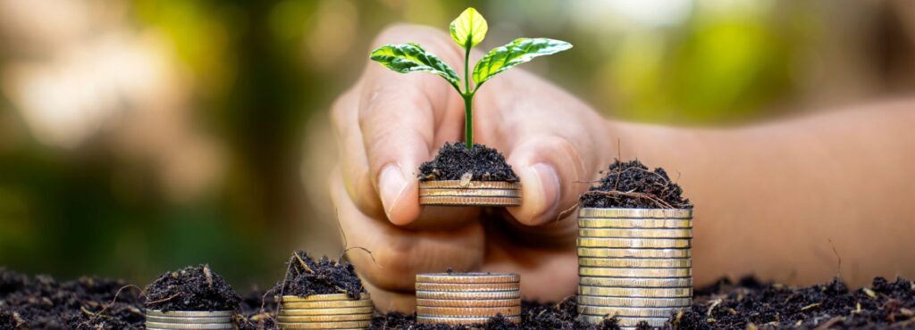 Como a educação financeira pode transformar sua vida: Dicas práticas para começar hoje